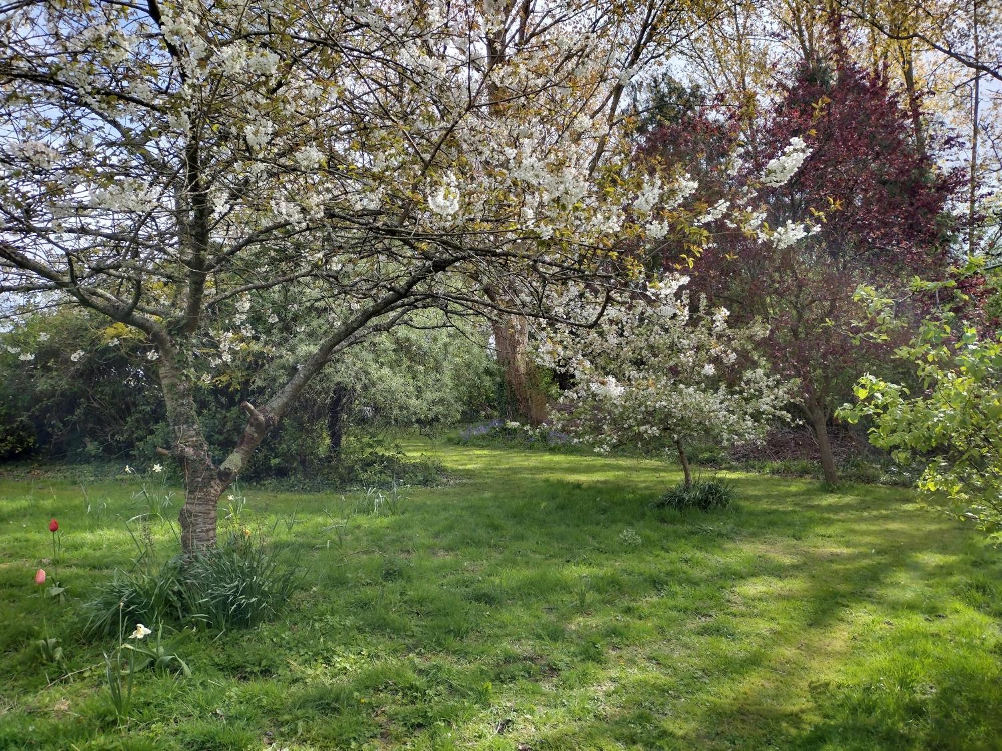 Robin Hill Cottage Amesbury Exterior foto